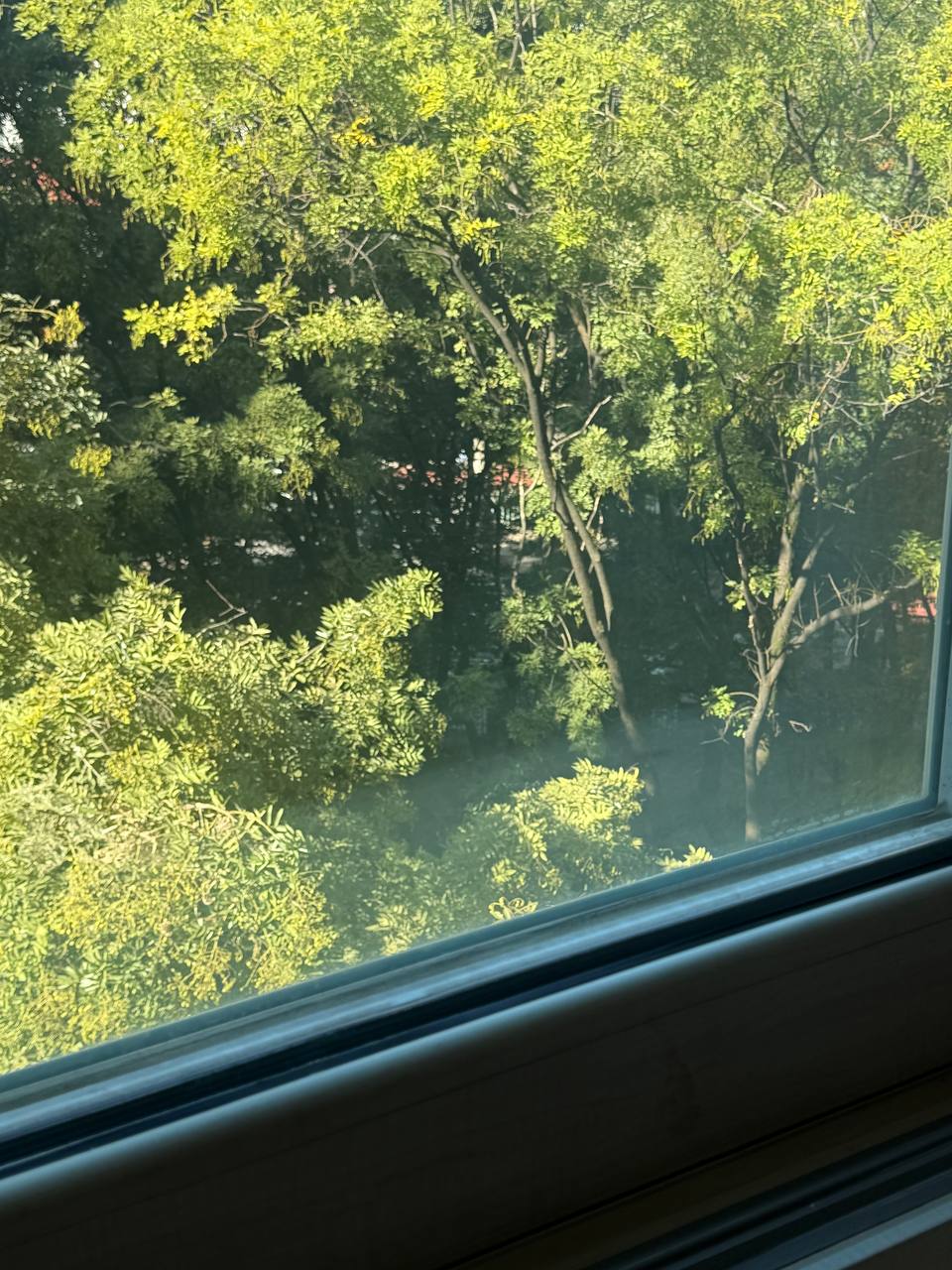 jamsil-asia-windowcleaning08