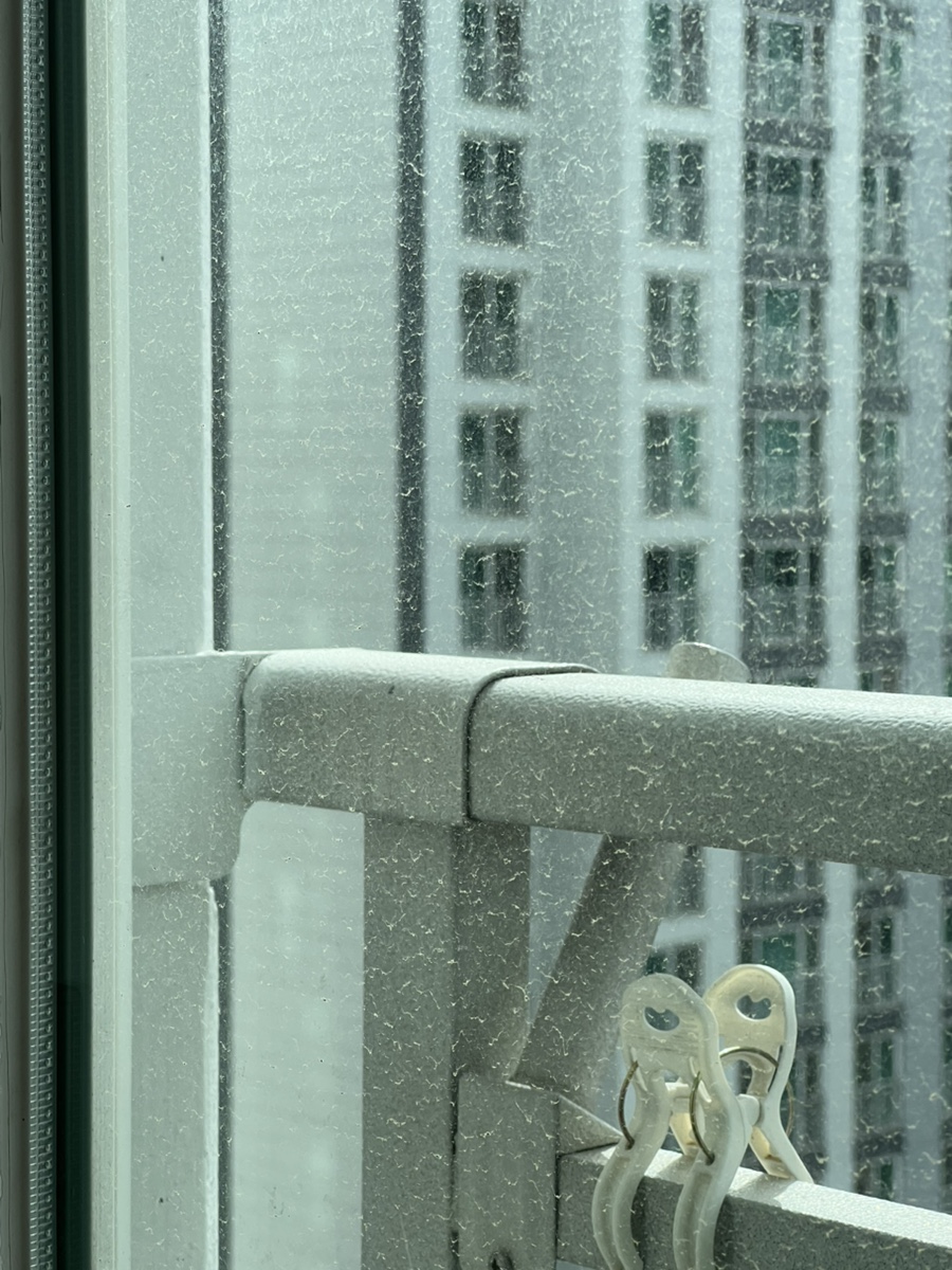 gimpo-windowcleaning03