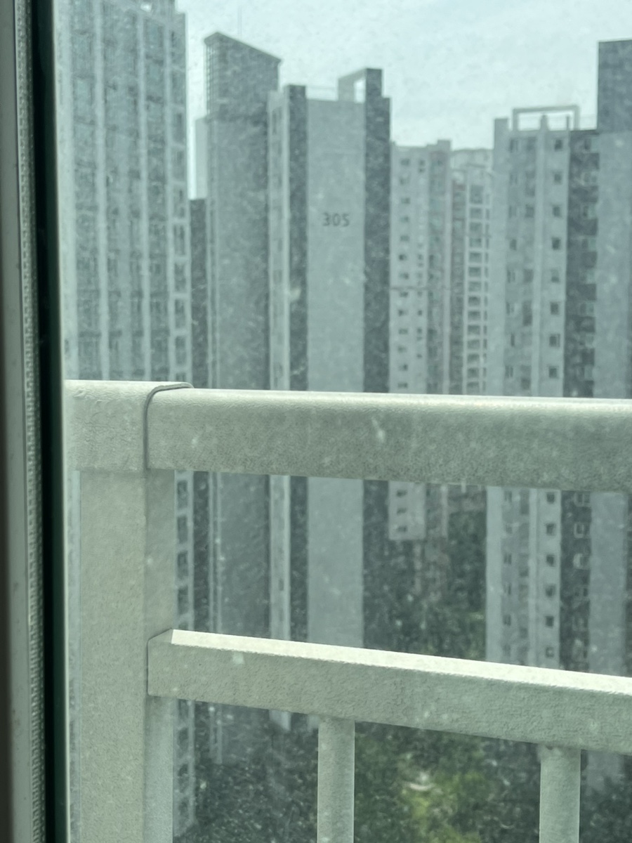 gimpo-windowcleaning07+