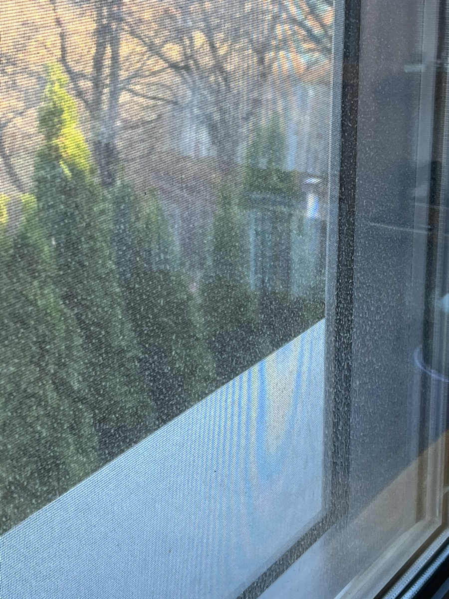pangyo-unjung-house-window-cleaning02